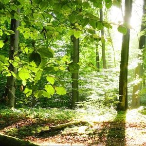 Meet your Posher, Pat